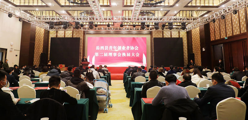 岳西县青年创业者协会换届大会召开